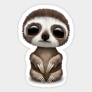 Cute Baby Sloth Sticker